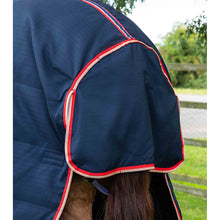 Load image into Gallery viewer, Stable Buster 100g Stable Rug with Neck Cover