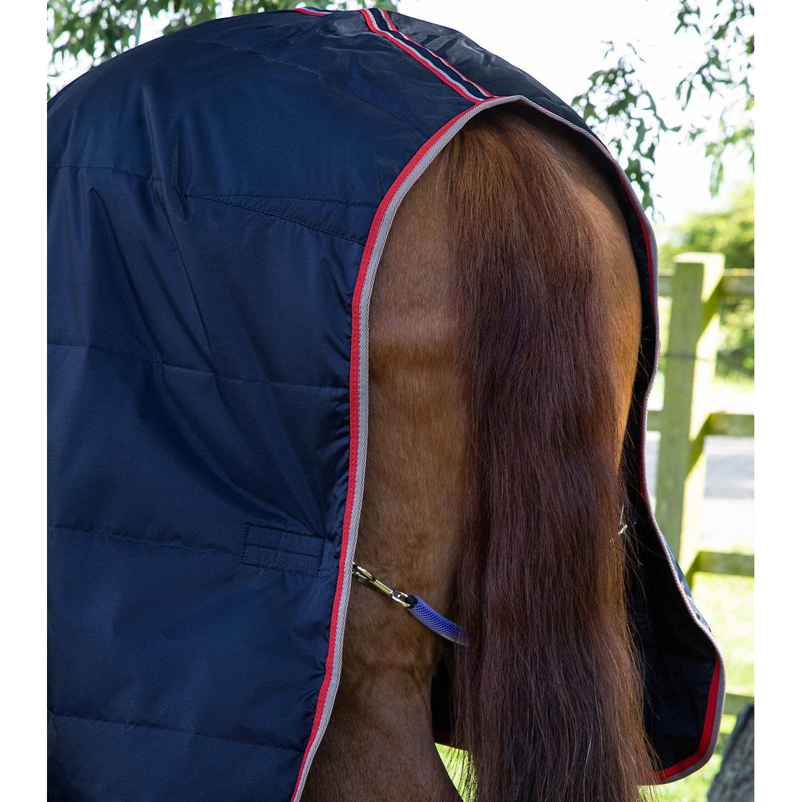 Stable Buster Lite 100g