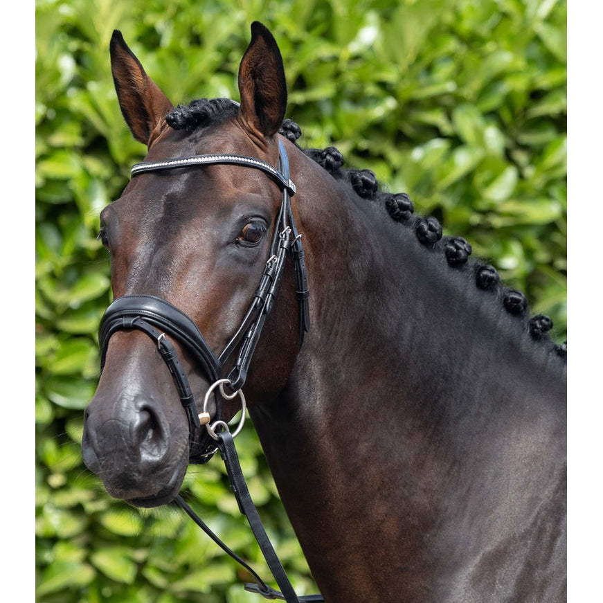 Stellazio Anatomic Snaffle Bridle with Flash (No reins)