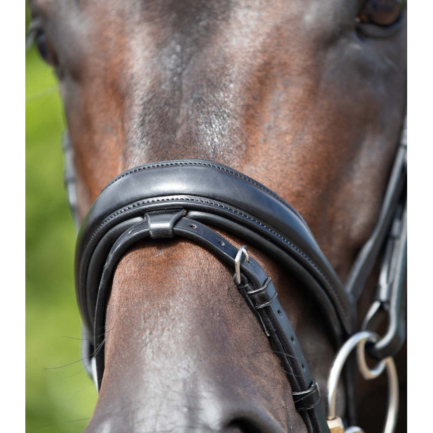 Stellazio Anatomic Snaffle Bridle with Flash (No reins)