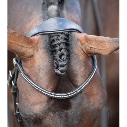 Stellazio Anatomic Snaffle Bridle with Flash (No reins)