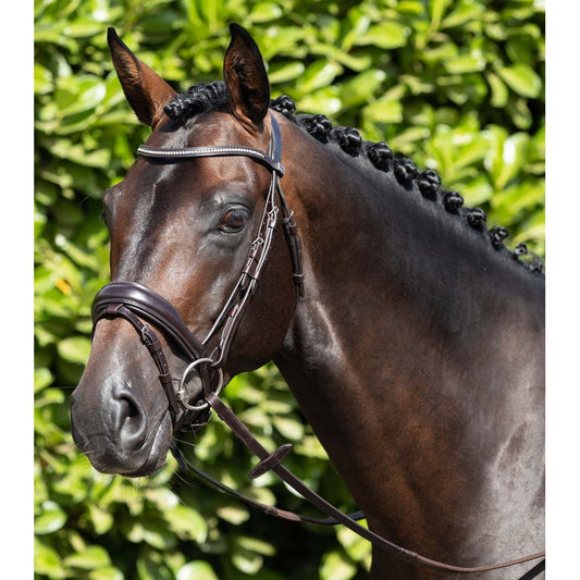 Stellazio Anatomic Snaffle Bridle with Flash (No reins)