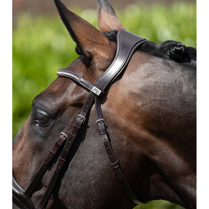 Stellazio Anatomic Snaffle Bridle with Flash (No reins)