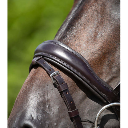 Stellazio Anatomic Snaffle Bridle with Flash (No reins)