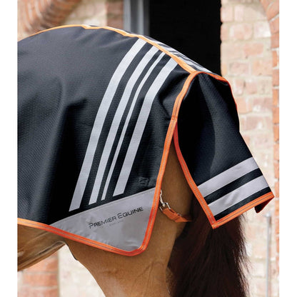 Stratus Horse Exercise Sheet