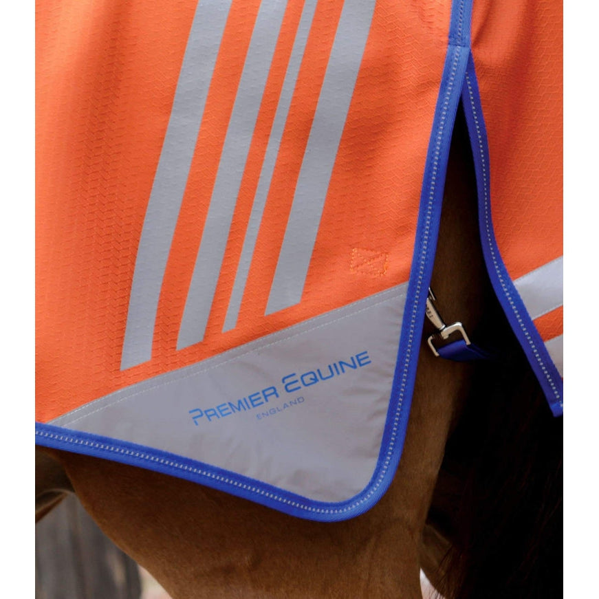 Stratus Horse Exercise Sheet