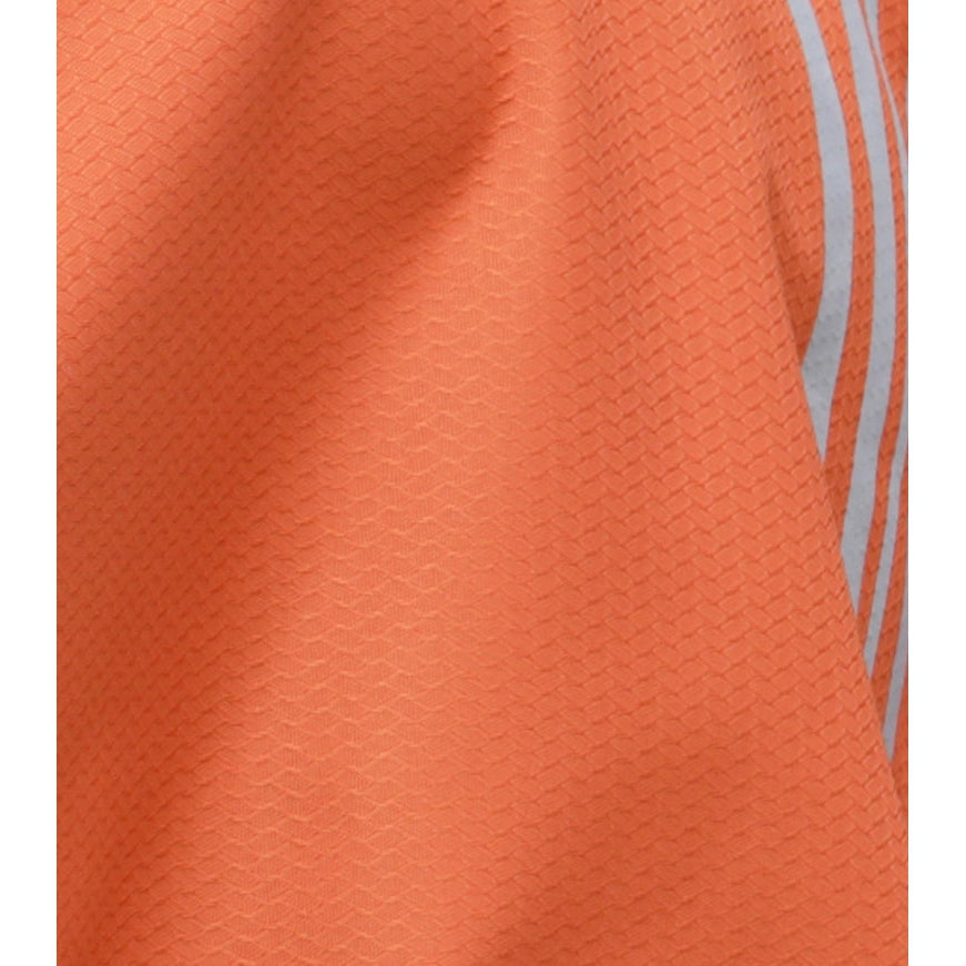 Stratus Horse Exercise Sheet