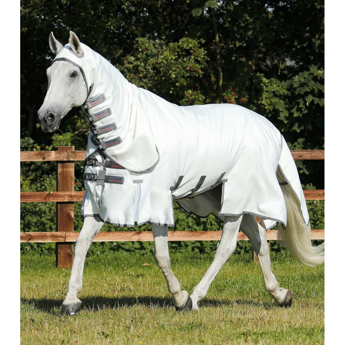 Sweet Itch Buster Fly Rug with Belly Flap