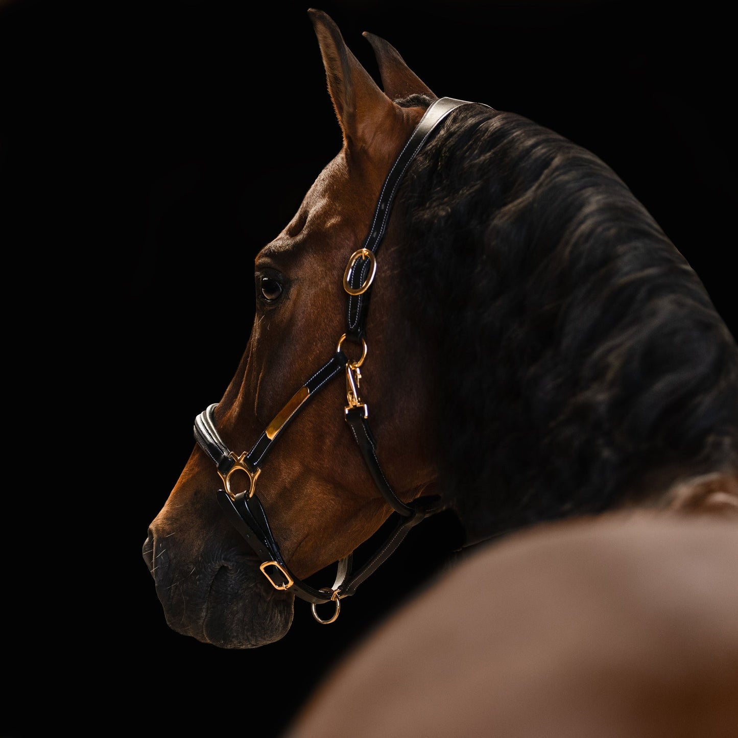 Bella Leather Halter