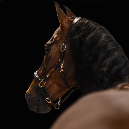 Bella Leather Halter