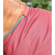 Load image into Gallery viewer, Titan 100g Original Turnout Rug