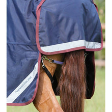 Load image into Gallery viewer, Titan 200g Original Turnout Rug