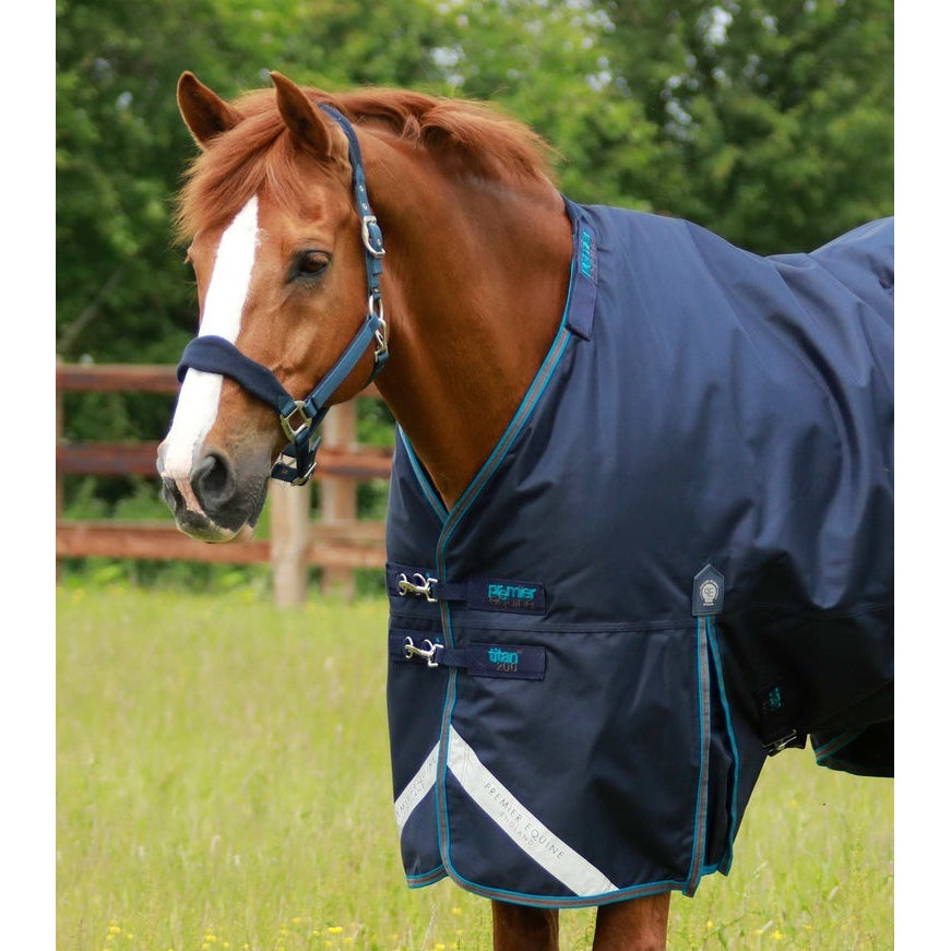 Titan 200g Turnout Rug with Snug-Fit Neck Cover
