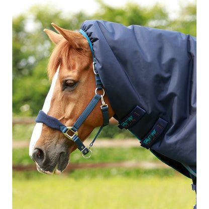 Titan 200g Turnout Rug with Snug-Fit Neck Cover
