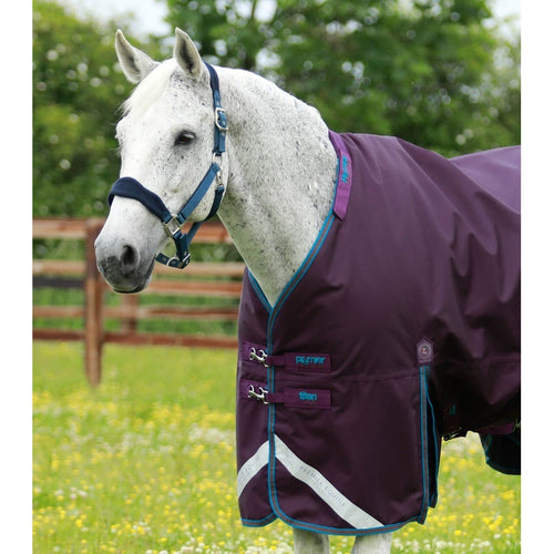 Titan 200g Turnout Rug with Snug-Fit Neck Cover