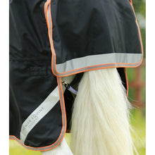 Load image into Gallery viewer, Titan 300g Turnout Rug with Snug-Fit Neck Cover