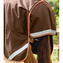 Load image into Gallery viewer, Titan 300g Turnout Rug with Snug-Fit Neck Cover