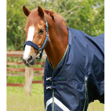 Load image into Gallery viewer, Titan 40g Turnout Rug with Snug-Fit Neck Cover