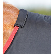 Load image into Gallery viewer, Titan 450g Original Turnout Rug