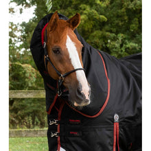 Load image into Gallery viewer, Titan 450g Turnout Rug with Snug-Fit Neck Cover