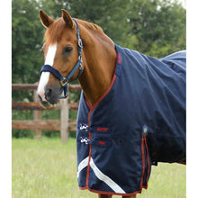 Load image into Gallery viewer, Titan 450g Turnout Rug with Snug-Fit Neck Cover