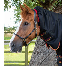 Load image into Gallery viewer, Titan Storm 450g Combo Turnout Rug with Snug-Fit Neck
