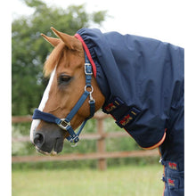 Load image into Gallery viewer, Titan Storm 450g Combo Turnout Rug with Snug-Fit Neck