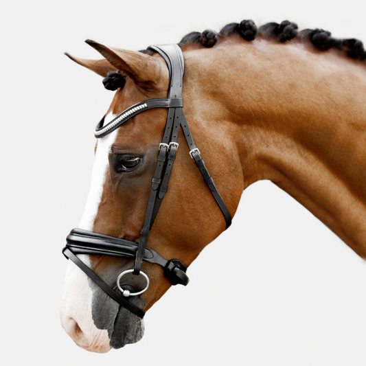 Melodie Classic Bridle (No reins)