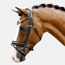 Load image into Gallery viewer, Melodie Classic Bridle