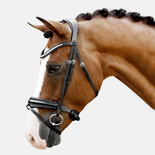 Melodie Classic Bridle