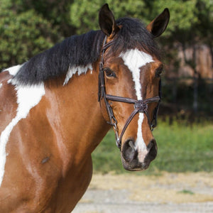 Fancy Stitch Padded Grackle Bridle