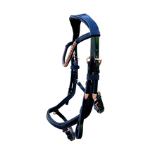 Load image into Gallery viewer, Aria Anatomic Black Italian Leather Bridle (Euro Version)