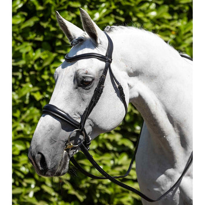 Verdura Anatomic Snaffle Bridle (No reins)