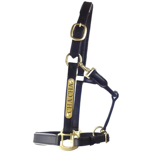 Leather Halter - Brass Fittings with Engraved Horse Nameplate