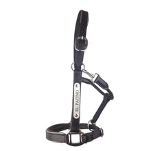 Load image into Gallery viewer, Leather Halter - Silver Fittings with Engraved Horse Nameplate