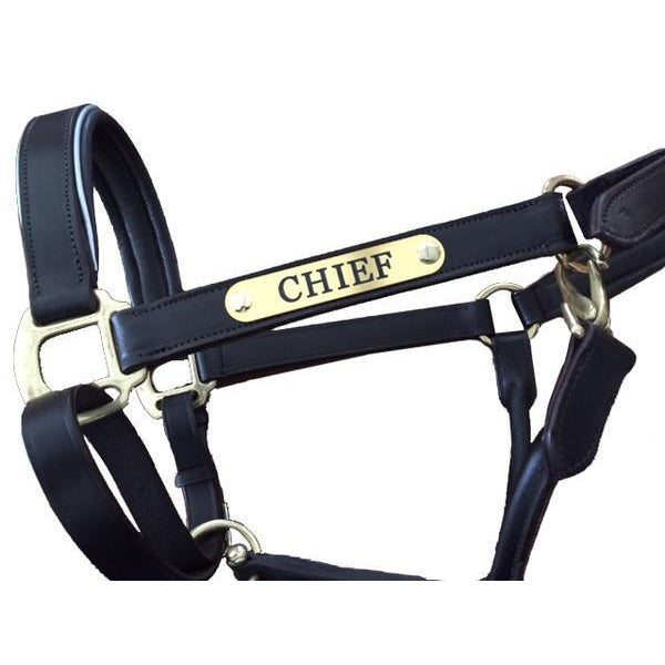 Leather Halter - Brass Fittings with Engraved Horse Nameplate