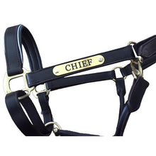 Load image into Gallery viewer, Leather Halter - Brass Fittings with Engraved Horse Nameplate