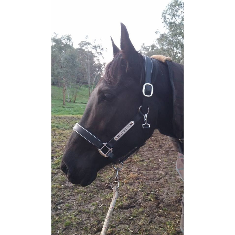 Leather Halter - Silver Fittings with Engraved Horse Nameplate