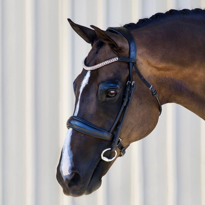 Madeline Rolled Leather Bridle (Cavesson) (No reins)
