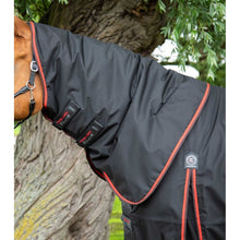 Load image into Gallery viewer, Buster 420g Turnout Rug with Classic Neck Cover