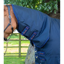Load image into Gallery viewer, Buster Storm 420g Combo Turnout Rug with Classic Neck