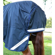 Load image into Gallery viewer, Buster Storm 420g Combo Turnout Rug with Classic Neck