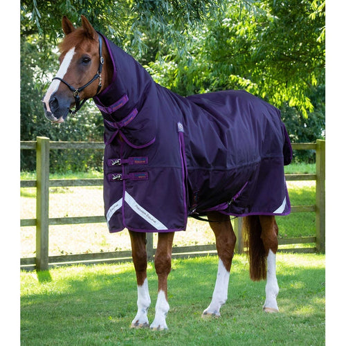 Buster Storm 420g Combo Turnout Rug with Classic Neck