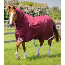 Load image into Gallery viewer, Buster Storm 90g Combo Turnout Rug with Classic Neck