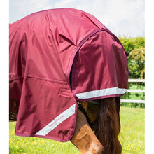 Load image into Gallery viewer, Buster Storm 90g Combo Turnout Rug with Classic Neck