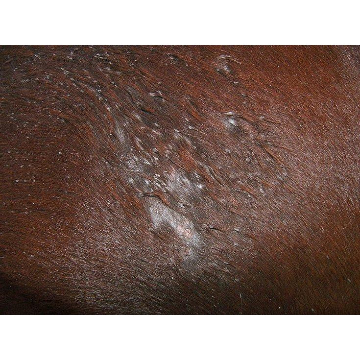 Skin Repair Wash - 1 Litre