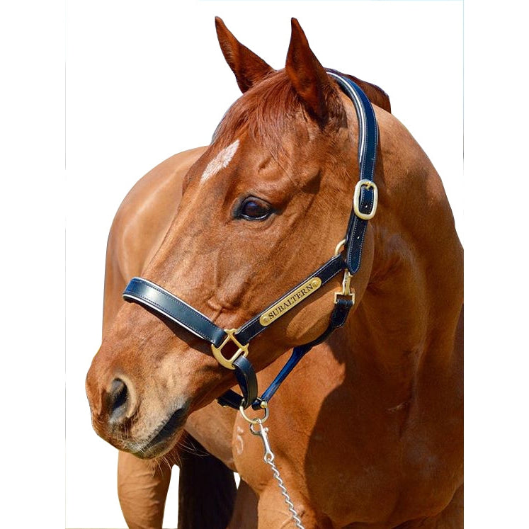 Horse Halter Nameplate