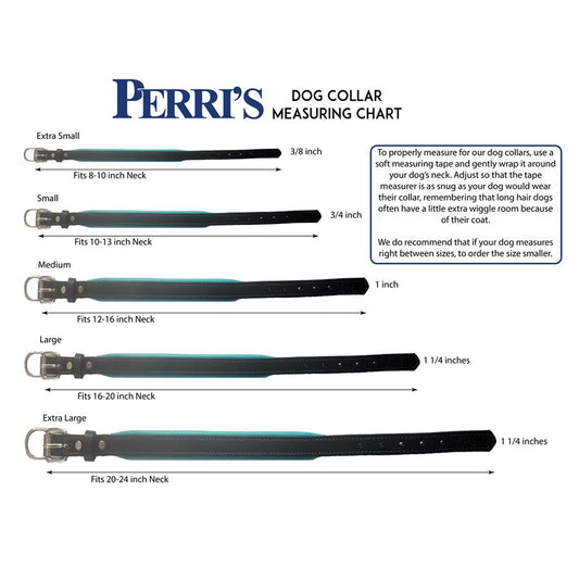 Padded Leather Dog Collar with plate