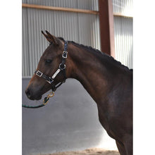 Load image into Gallery viewer, Black PVC Halter - Silver Fittings with Engraved Horse Nameplate