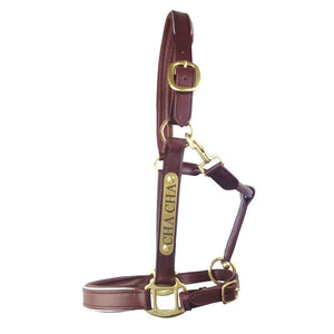 Leather Halter - Brass Fittings with Engraved Horse Nameplate